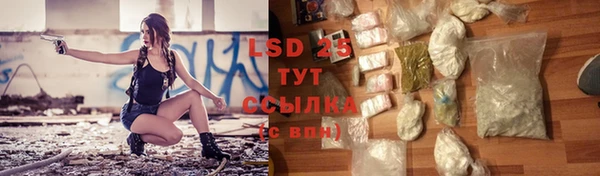 эйфоретик Новодвинск