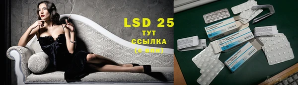 эйфоретик Новодвинск