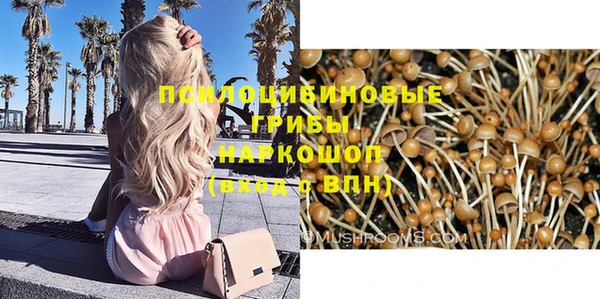 ECSTASY Новокубанск