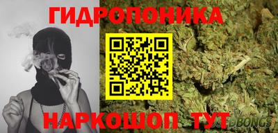 гидропоника Гусь-Хрустальный