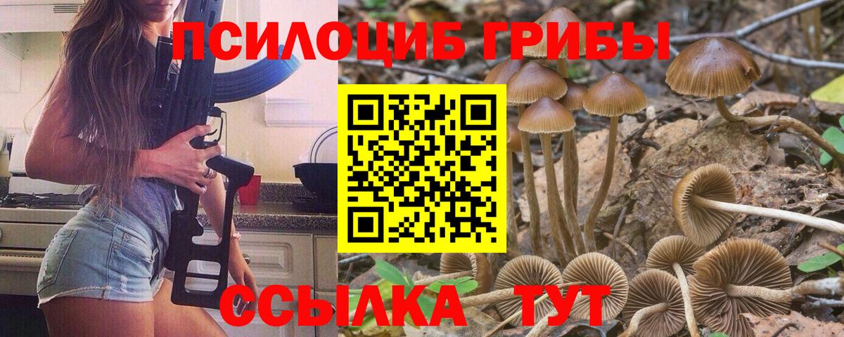 Сафоново  Псилоцибиновые грибы GOLDEN TEACHER  Псилоцибиновые грибы мухоморы  Вход с VPN 