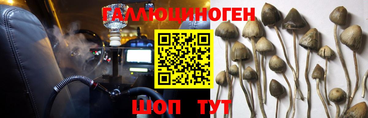 А ПВП  Вход с VPN  Мефедрон  Хэш  Сафоново  Марихуана 